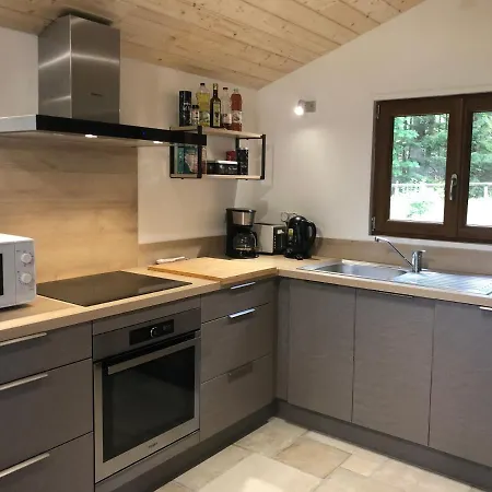 Chloe - Wifi, Bbq, Parking Xonrupt-Longemer