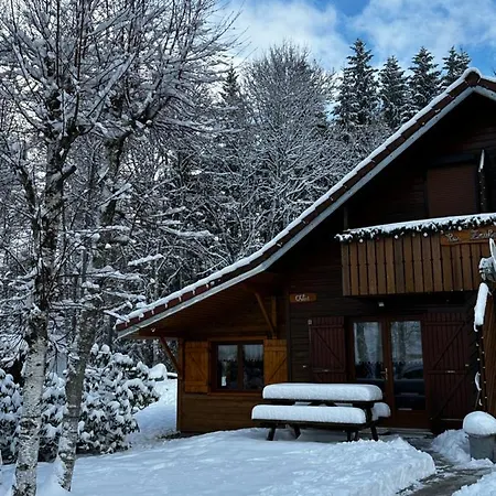 Chloe - Wifi, Bbq, Parking Chalet Xonrupt-Longemer