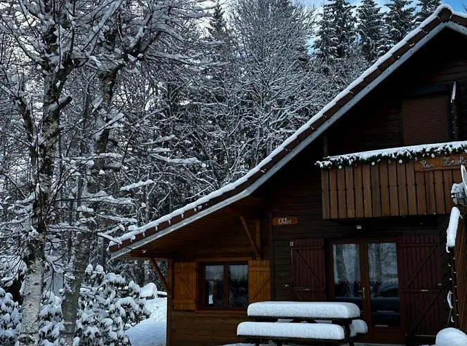 Chloe - Wifi, Bbq, Parking Chalet Xonrupt-Longemer